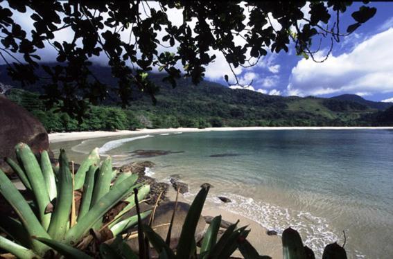 Recanto Tangara - Chale - Praia Do Felix Убатуба Екстер'єр фото